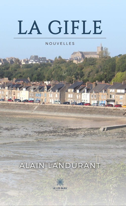 Couverture ebook de La gifle, de Alain Landurant