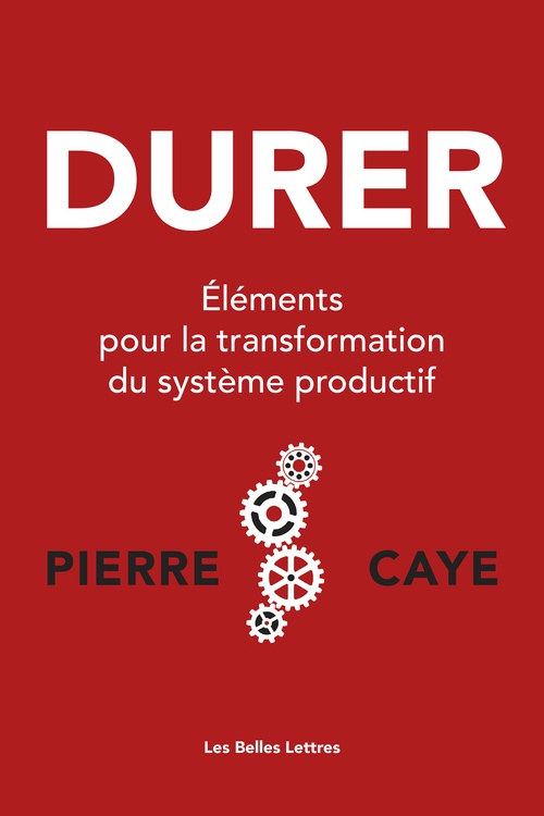 Couverture ebook de Durer, de Pierre Caye