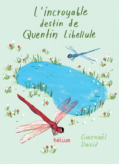 Couverture ebook de L'Incroyable destin de Quentin Libellule, de Gwenaël David