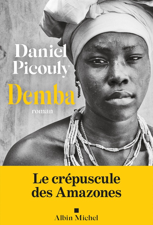 ebook cover of Demba, by Daniel Picouly