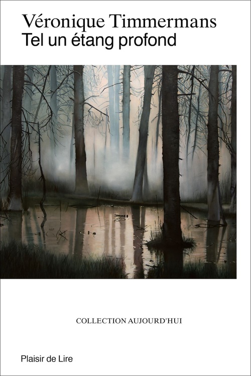 ebook cover of Tel un étang profond, by Véronique Timmermans