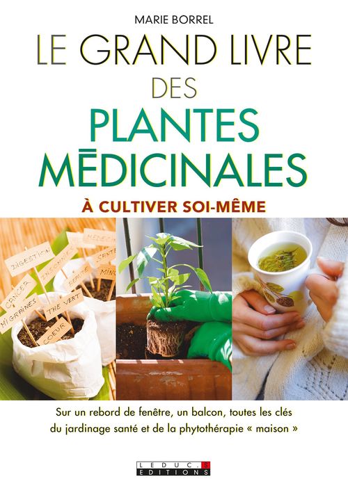 ebook cover of Le Grand Livre des plantes médicinales, by Marie Borrel