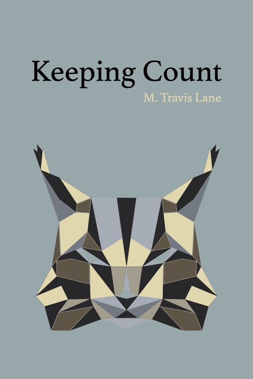 Couverture ebook de Keeping Count, de M. Travis Lane