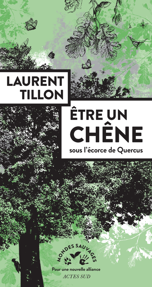 Couverture ebook de Être un chêne, de Laurent Tillon