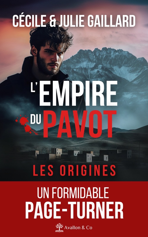 ebook cover of Les origines, by Cécile Gaillard, Julie Gaillard