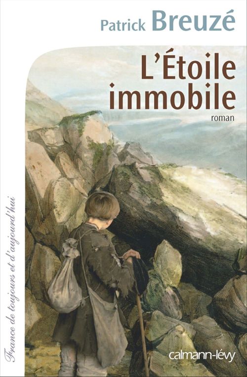 ebook cover of L'Etoile immobile, by Patrick Breuzé
