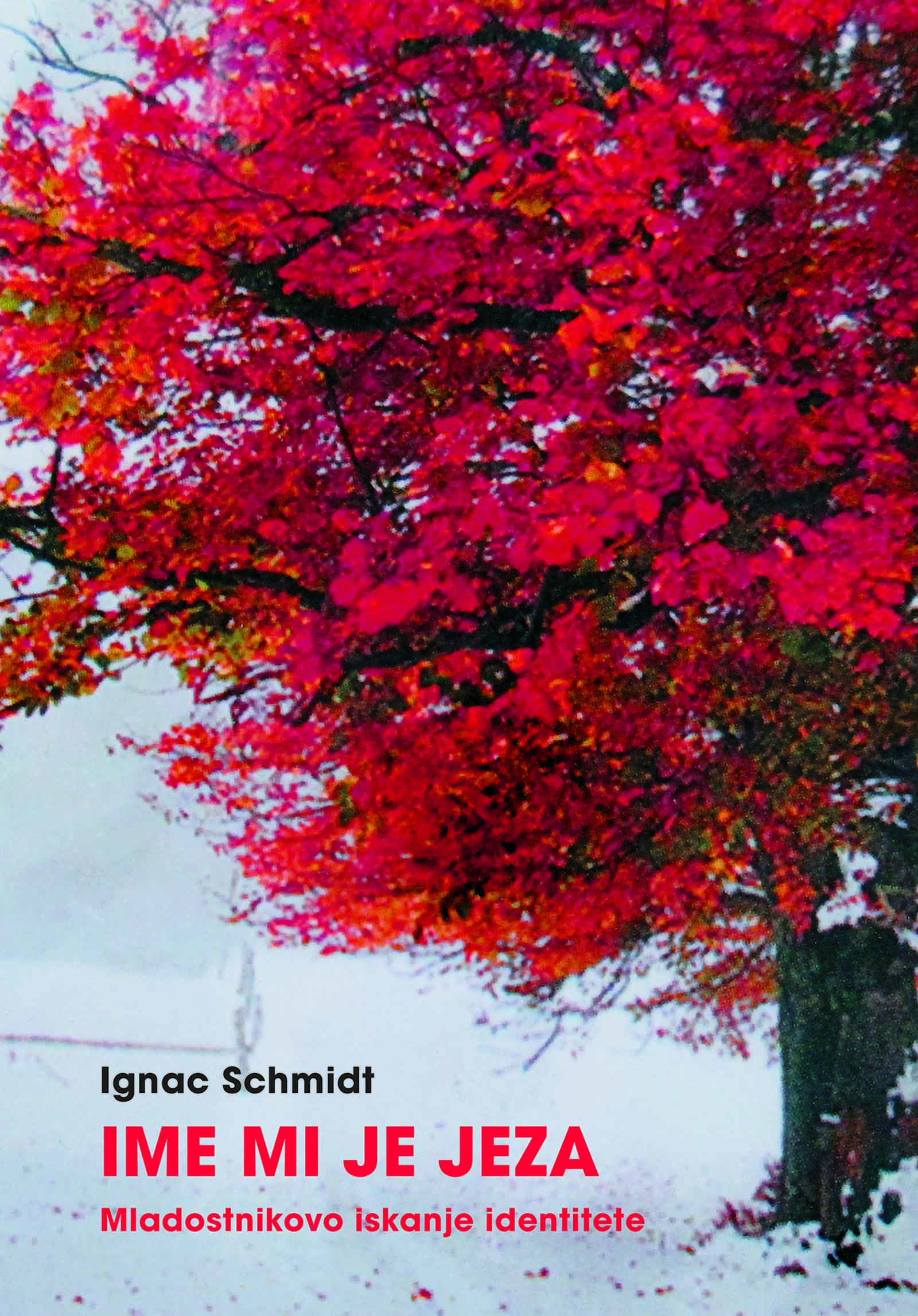 ebook cover of Ime mi je jeza, by Ignac Schmidt