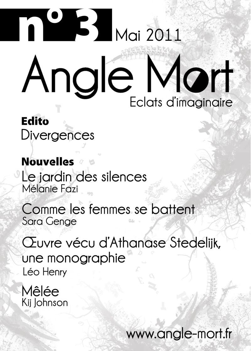 ebook cover of Angle Mort numéro 3, by Revue Angle Mort