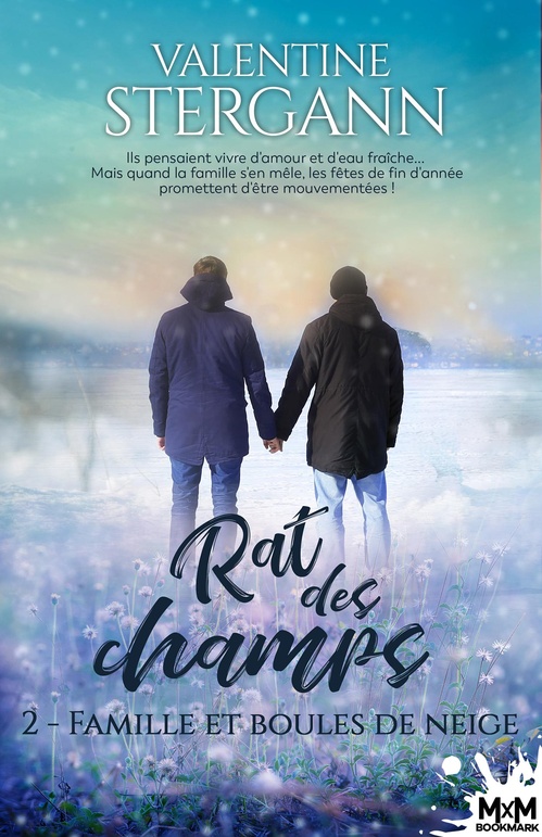 Couverture ebook de Famille et boules de neige, de Valentine Stergann