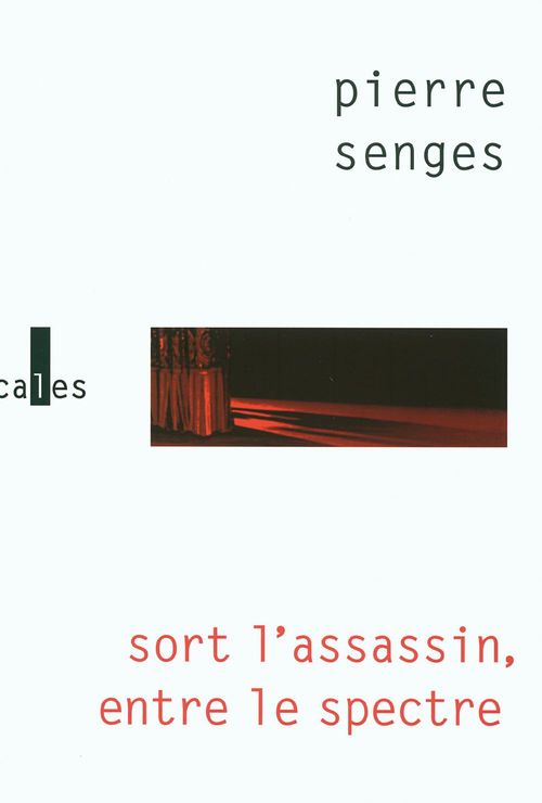 ebook cover of Sort l'assassin, entre le spectre, by Pierre Senges