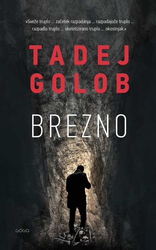 Couverture ebook de Brezno, de Tadej Golob