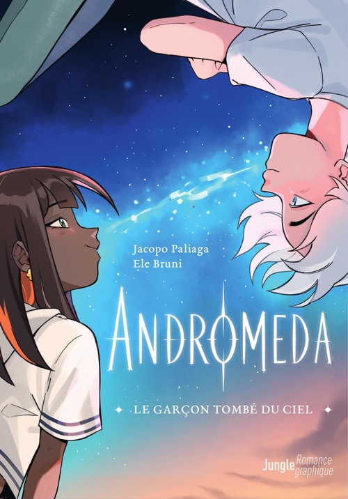 ebook cover of Le garçon tombé du ciel, by Jacopo Paliaga