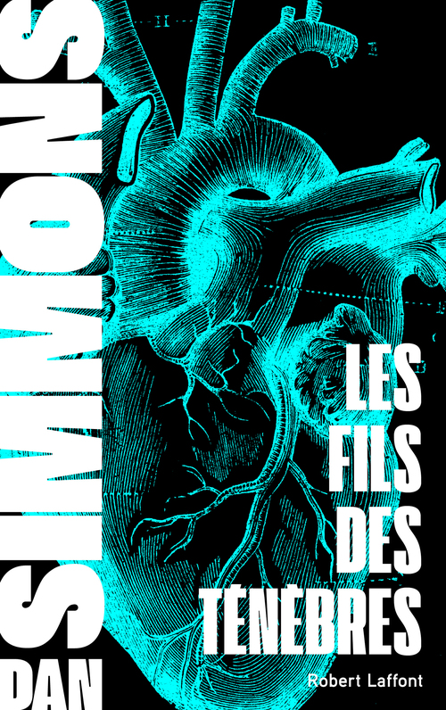 ebook cover of Le Fils des ténèbres, by Dan Simmons