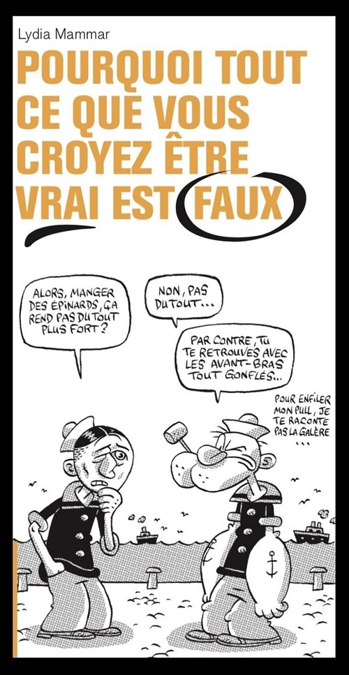 Couverture ebook de Pourquoi tout ce que vous croyez être vrai est faux, de Lydia Mammar