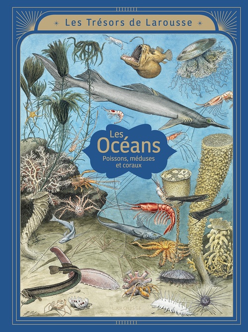 ebook cover of LES OCEANS - Poissons, méduses et coraux, by Emmanuelle Kecir Lepetit