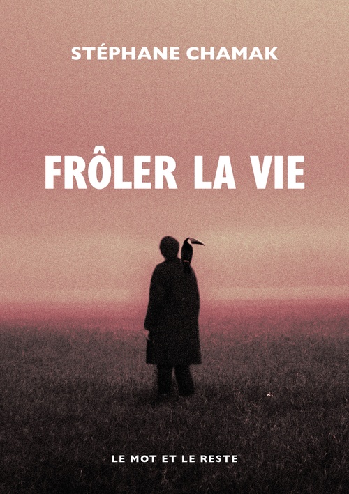 Couverture ebook de Frôler la vie, de Stéphane Chamak