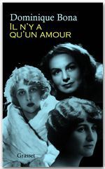 ebook cover of Il n'y a qu'un amour, by Dominique Bona