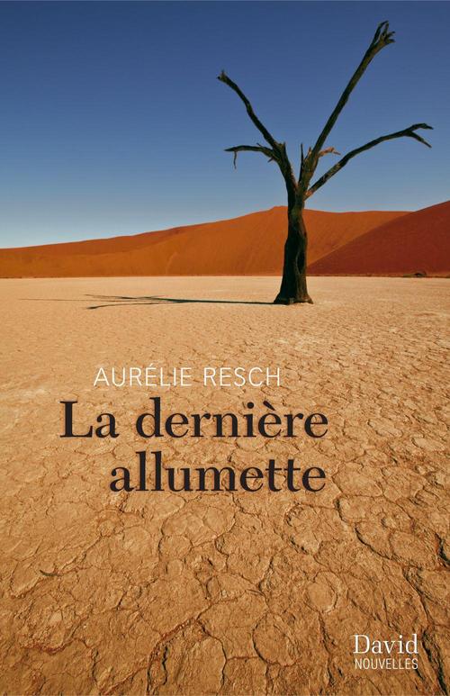 ebook cover of La dernière allumette, by Resch Aurelie