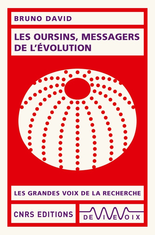 ebook cover of Les oursins, messagers de l'évolution, by Bruno David