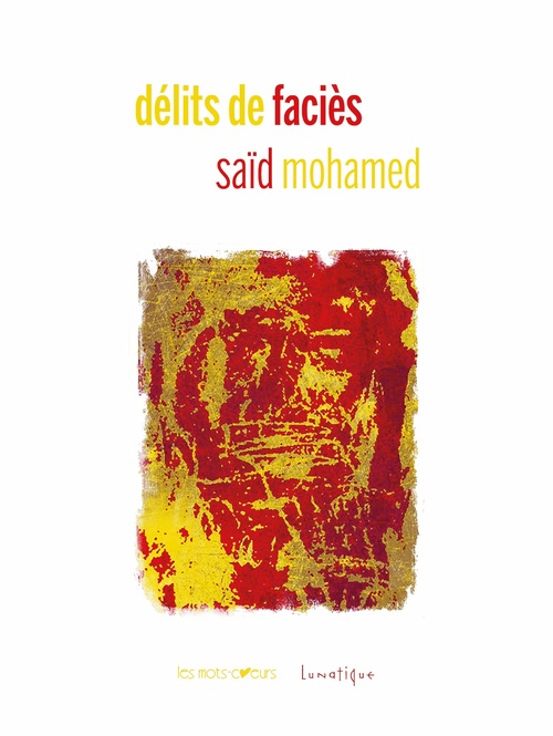 ebook cover of Délits de faciès, by Saïd Mohamed