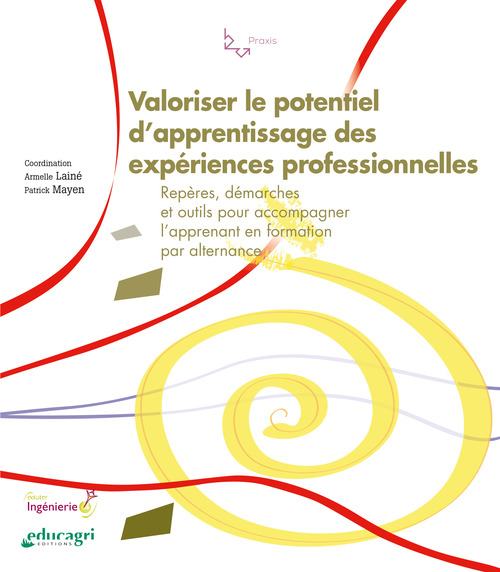 Couverture ebook de Valoriser le potentiel d'apprentissage des expériences professionnelles, de Laine/Mayen