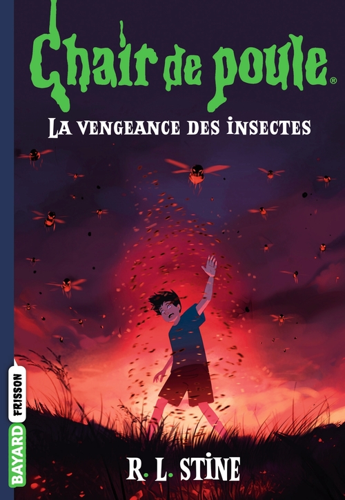 ebook cover of Chair de poule , Tome 11, by R.L Stine