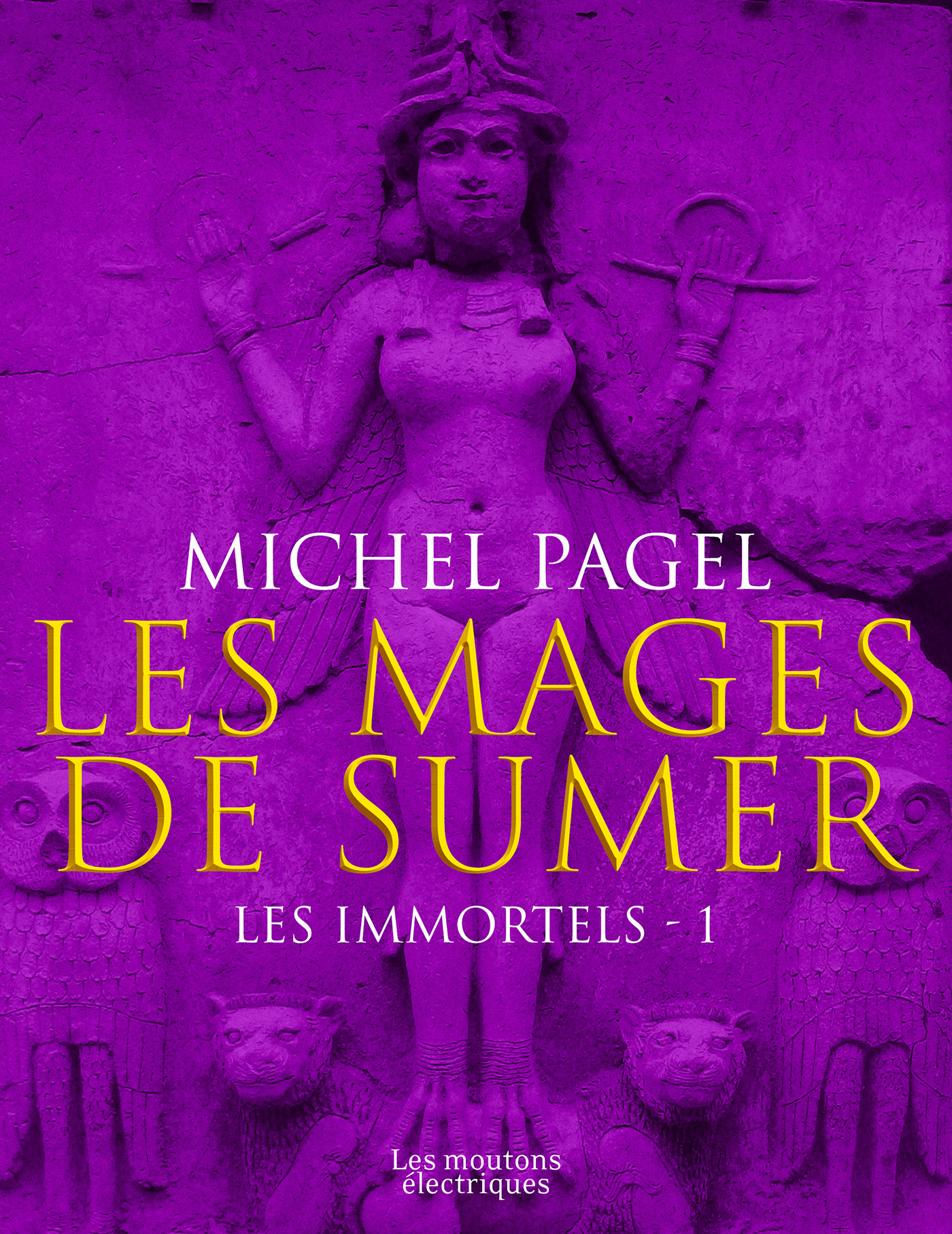 ebook cover of Les mages de Sumer, by Michel Pagel