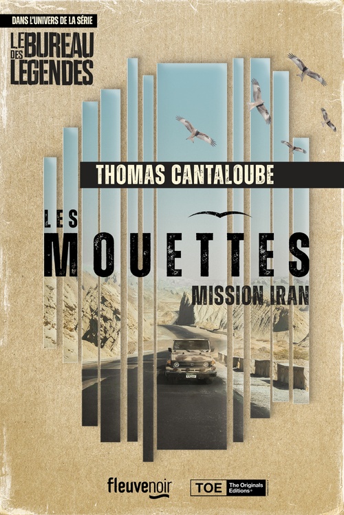 ebook cover of Les Mouettes - Mission Iran, by Thomas Cantaloube