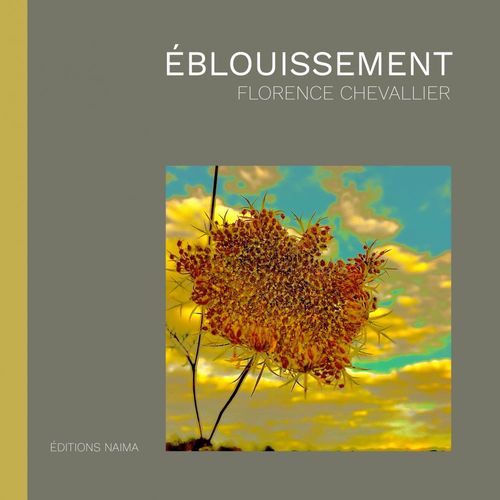 ebook cover of Éblouissement, by Florence Chevallier