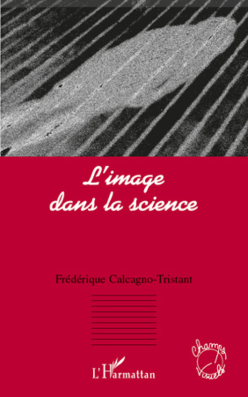 ebook cover of L'image dans la science, by Frédérique Calcagno-tristant