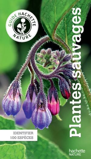 Couverture ebook de Le guide Hachette Nature des Plantes Sauvages, de H Hofmann