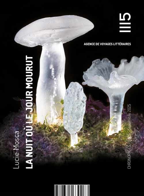 ebook cover of La nuit où le jour mourut, by Lucie Mosca
