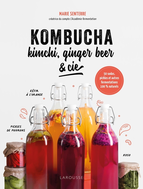 ebook cover of Kombucha, kimchi, ginger beer & Cie, by Marie Senterre