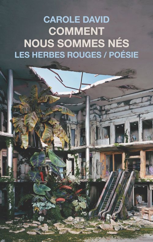 ebook cover of Comment nous sommes nés, by David Carole