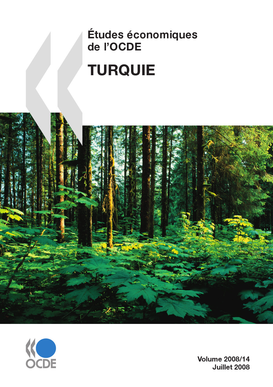 ebook cover of Études économiques de l'OCDE : Turquie 2008, by Collectif