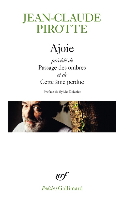 ebook cover of Ajoie / Passage des ombres / Cette âme perdue, by Jean-Claude Pirotte