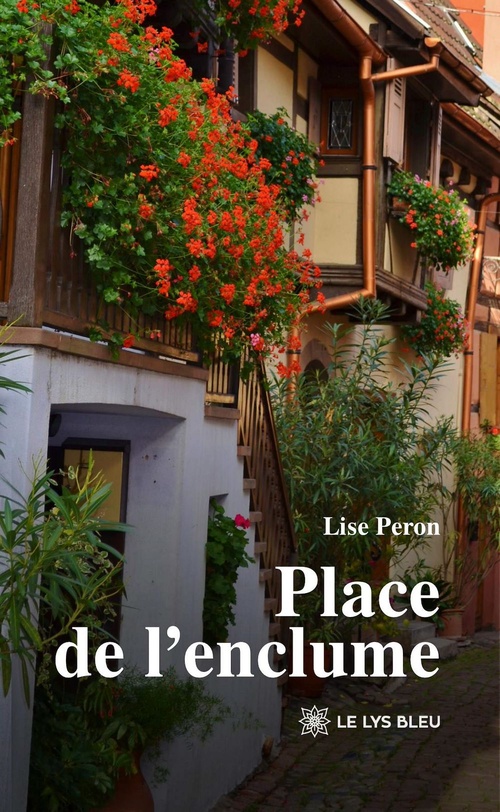 Couverture ebook de Place de l'enclume, de Lise Peron