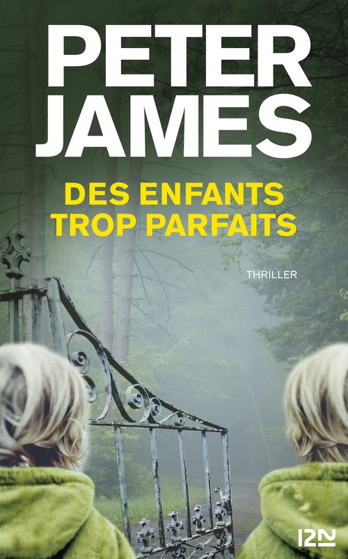 ebook cover of Des enfants trop parfaits, by Peter James
