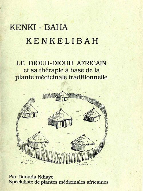 ebook cover of Kenki-Baha, Kenkelibah, by Daouba Ndiaye