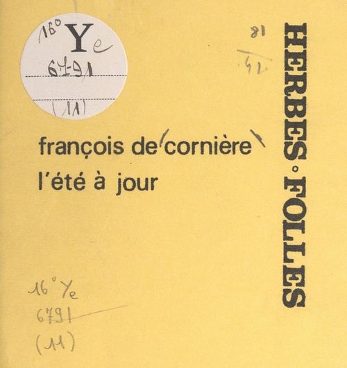 Couverture ebook de L'été à jour, de Francois De Corniere