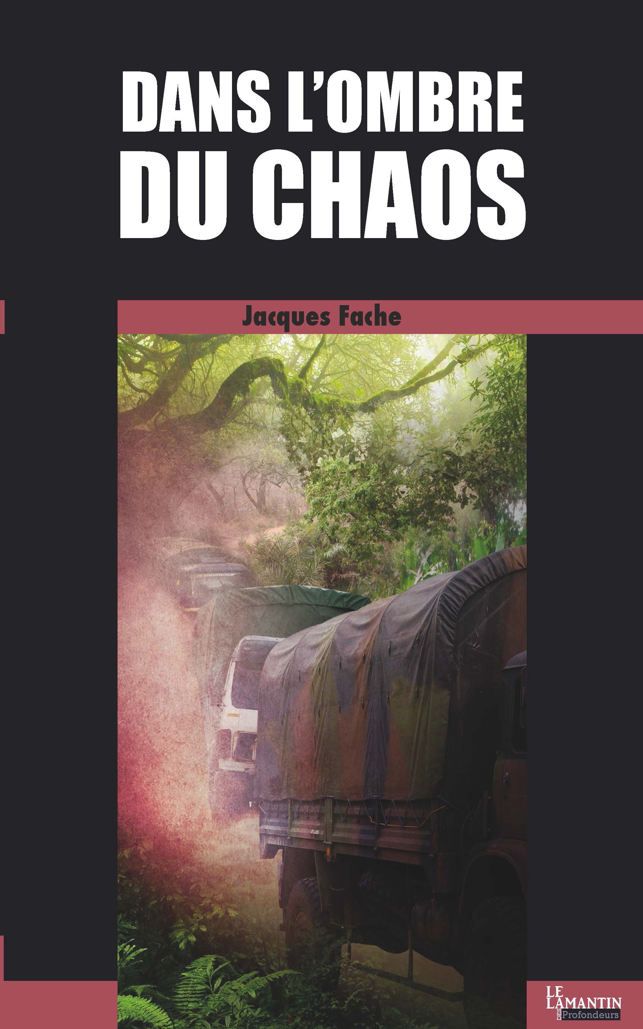 ebook cover of Dans l'ombre du chaos, by Jacques Fache