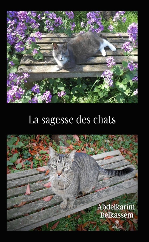 ebook cover of La sagesse des chats, by Abdelkarim Belkassem