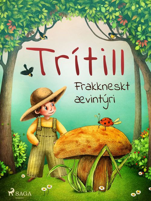 Couverture ebook de Trítill: Frakkneskt ævintýri, de OþEkktur