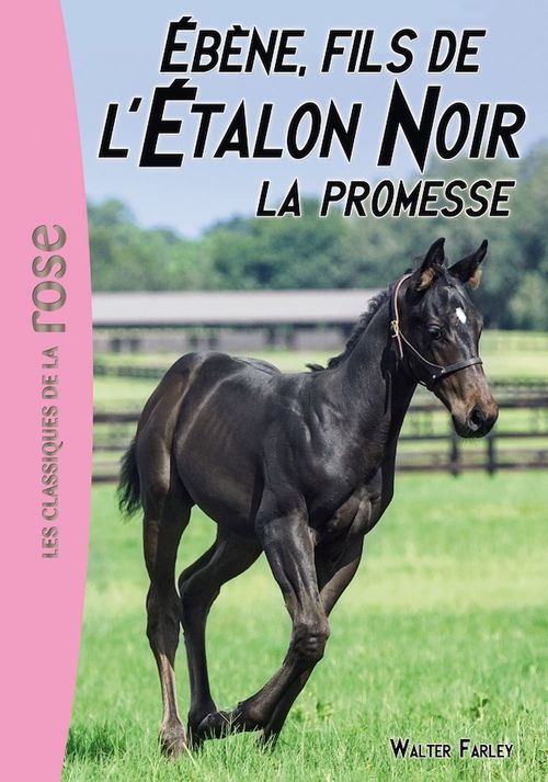 Couverture ebook de L'Étalon Noir 21 - Ébène, le fils de l'Étalon Noir, de Steven Farley, Walter Farley