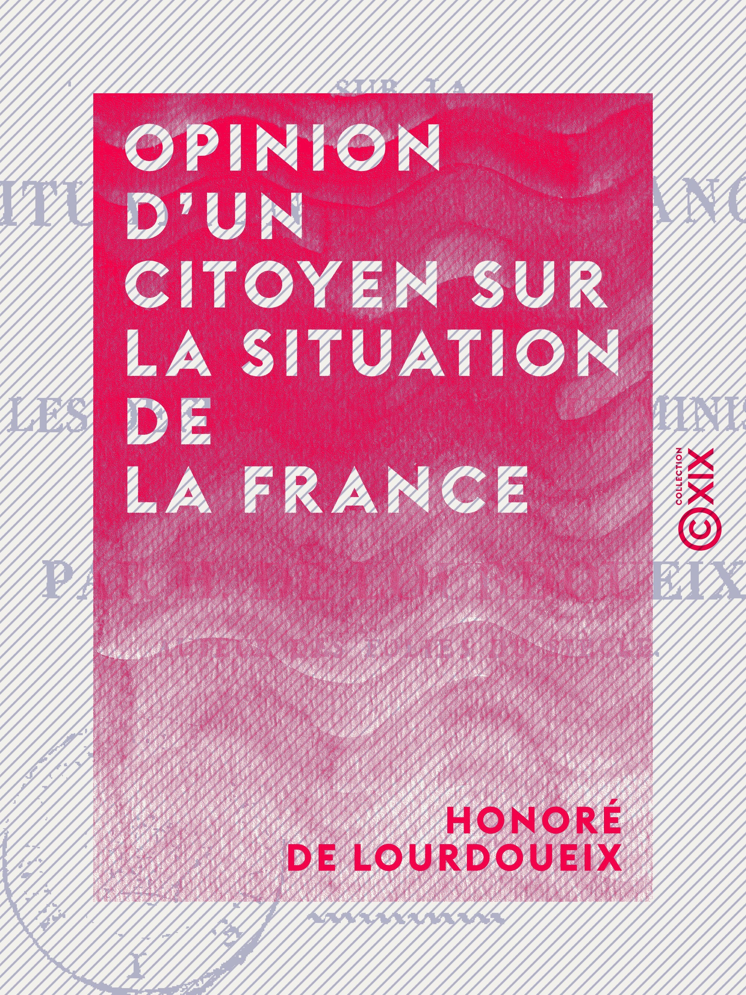 ebook cover of Opinion d'un citoyen sur la situation de la France - Et particulièrement sur les défections dans le ministère, by Honore De Lourdoueix