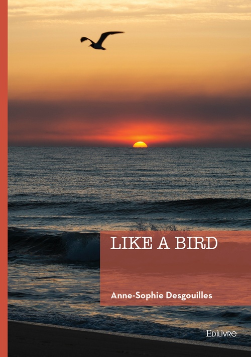 ebook cover of Like a bird, by Anne-Sophie Desgouilles