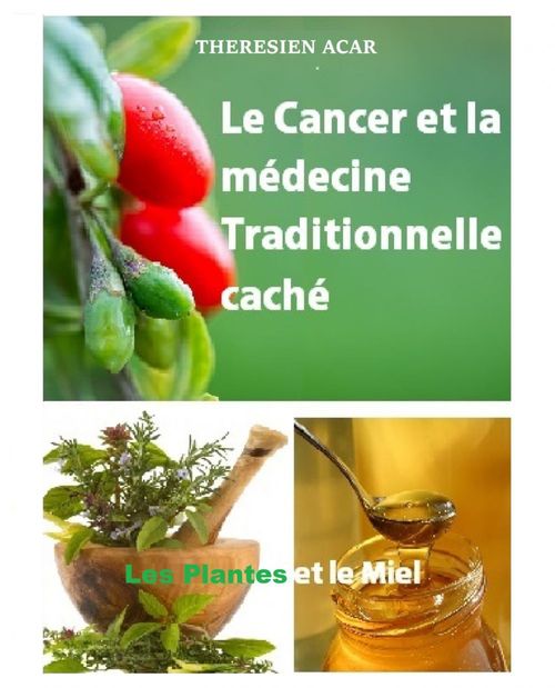 ebook cover of LE CANCER ET LA MÉDECINE TRADITIONNELLE CACHE, by Theresien Acar