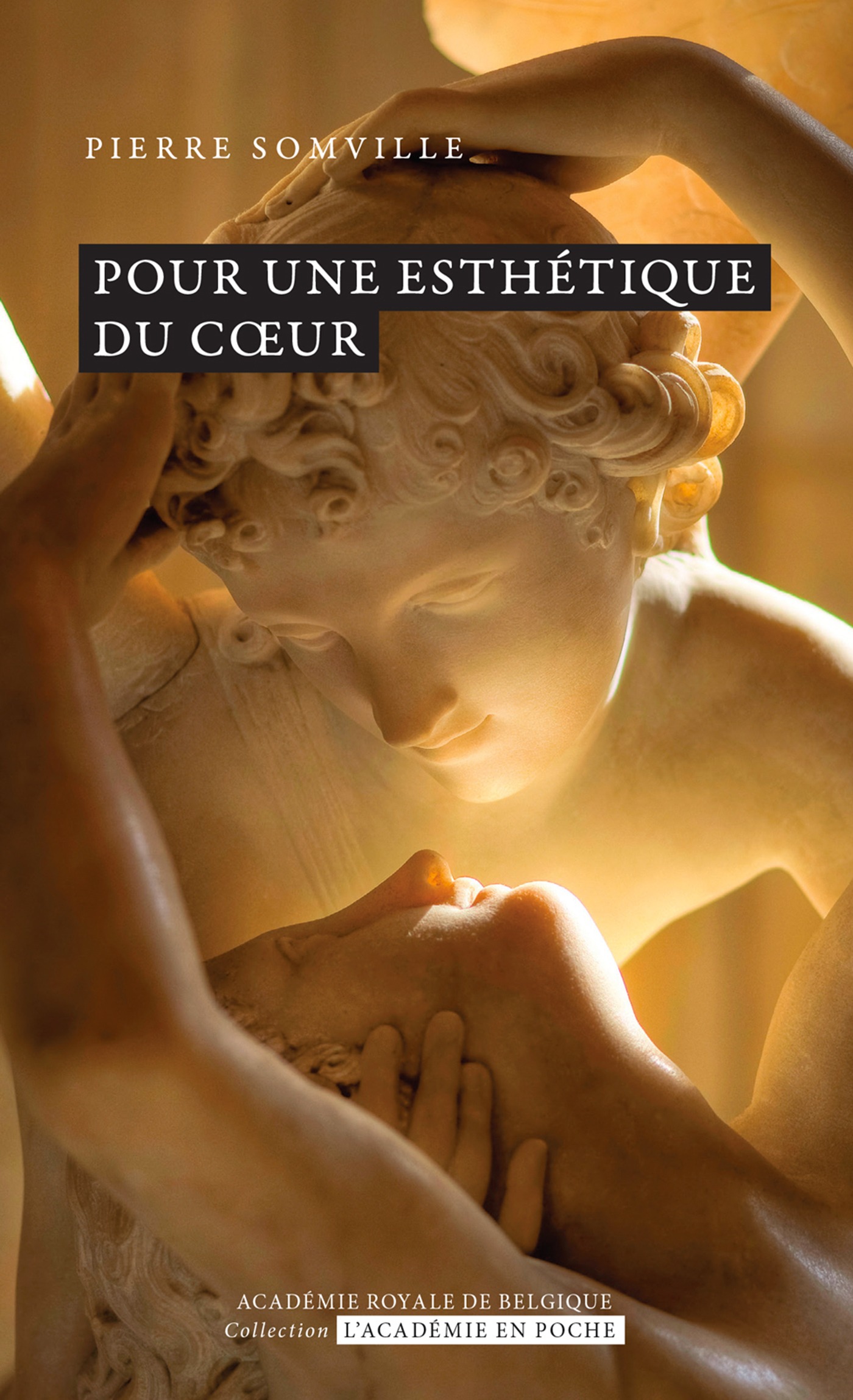 ebook cover of Pour une esthétique du coeur, by Pierre Somville