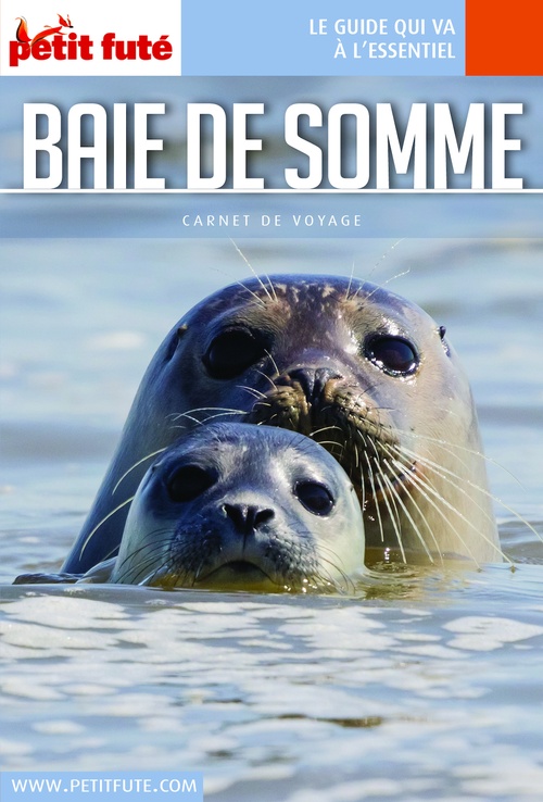 Couverture ebook de BAIE DE SOMME 2021/2022 Carnet Petit Futé, de Collectif petit futé