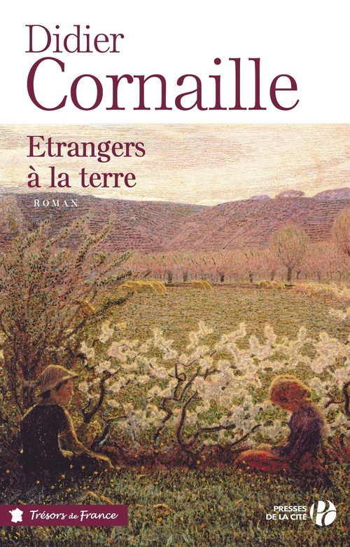 ebook cover of Etrangers à la terre, by Didier Cornaille